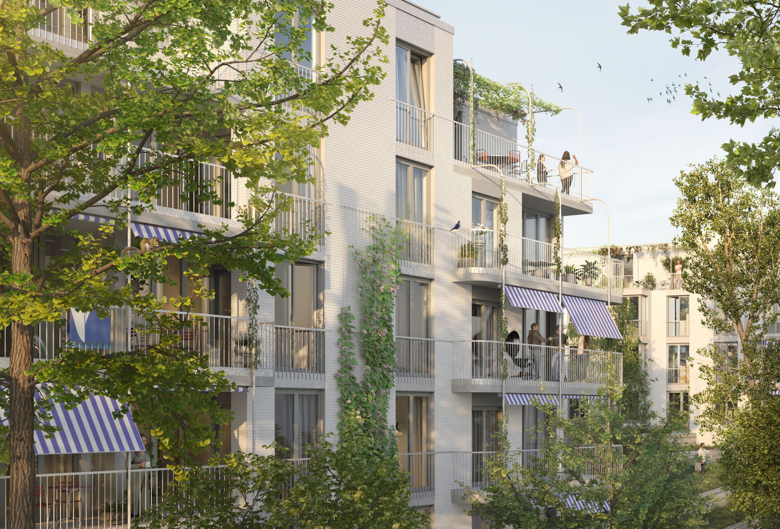 250723 emi bombach Fassade